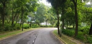 Expansive freehold bungalow lot in the prestigious Country Heights Damansara, Kuala Lumpur, surrounded by lush greenery.
