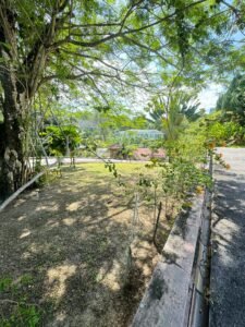 Comfortable bungalow for rent in Bukit Tunku, Kuala Lumpur. 5 bedrooms, 7 bathrooms, 1 maid room, garden, balcony, swimming pool, and parking. Rental price RM 25,000/month. Spacious layout with modern finishes and greenery views.