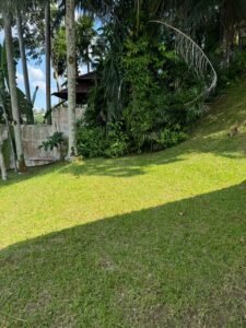 Elegant bungalow for rent in Bukit Tunku, Kuala Lumpur, featuring a private swimming pool, modern interiors, and lush green surroundings.
