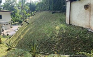 Vast 47,050 sq.ft. freehold bungalow land in Bukit Tunku, split into two titles, ideal for upscale development."