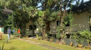 Vast 47,050 sq.ft. freehold bungalow land in Bukit Tunku, split into two titles, ideal for upscale development."