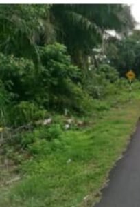 2-acre freehold development land for sale along main road in Sri Rusa, Port Dickson opposite Hibiscus Hotel Resort