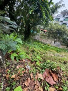 Exclusive bungalow land for sale at Jalan Girdle, Bukit Tunku. 21,600 sq.ft. of land, ideal for building your dream home. Surrounded by lush greenery and mature trees. Priced at RM 9,720,000 or RM 450 per sq.ft. Freehold and Residential Land Title.