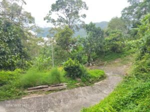Expansive 83,764 sq.ft. freehold land in Air Itam, Penang featuring non-bumi lot status and exceptional development potential in a prime location