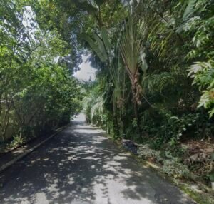 Premium 10,021 sq.ft. flat residential land parcel in exclusive Bukit Tunku featuring ideal topography for development surrounded by luxury homes in Kuala Lumpur's most prestigious neighborhood