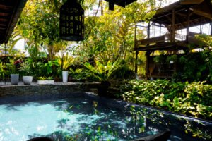 Elegant Balinese-style bungalow in Bukit Damansara featuring private swimming pool, 9,000 sq.ft. built-up, 9,800 sq.ft. land, fully furnished luxury home.