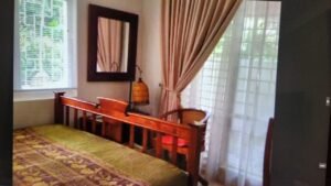 Expansive freehold bungalow in Bukit Tunku on 31,750 sq.ft. land featuring private swimming pool, lush garden, fully furnished luxury residence.