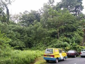 Prime freehold development land in Jalan Medang Tanduk approved for luxury 5-storey bungalows with personal lift and rooftop pool, 35,000 sq.ft.