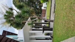 Fully furnished freehold bungalow for sale at Saujana Resort Golf Community Shah Alam Petaling Jaya, approximately 8,000 sq.ft. built-up on 10,280 sq.ft. land, 6 bedrooms, private gym, gated and guarded, selling at RM 7,500,000.